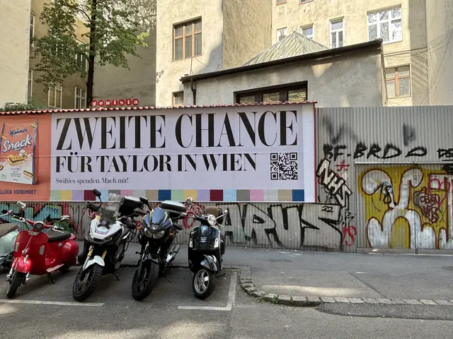 Seit einiger Zeit sorgt ein auffälliges Plakat in der Windmühlgasse in Mariahilf für fragende Gesichter. | Foto: MeinBezirk