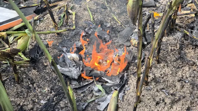 Ein Modellflugzeug geriet in Zarnsdorf in Brand. Das rasche Eingreifen der Beteiligten verhinderte Schlimmeres. | Foto: Florian Auer