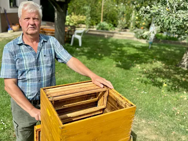 Herbert Altmann freut sich in diesem Jahr schon auf die Qualität des Honig. | Foto: Markus Kahrer