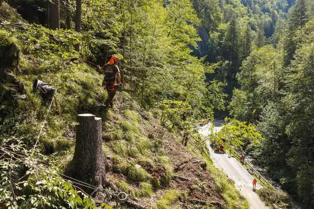 Die Arbeiten an der B 64 (Rechbergstraße) werden gemäß Plan abgeschlossen. | Foto: Land Steiermark/A 16