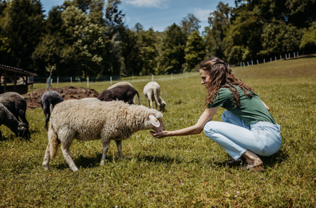 Am Süss-Hof in Feldkirchen gibt es Einblicke in die biologische Landwirtschaft. | Foto: Bio Austria/Mühlberger