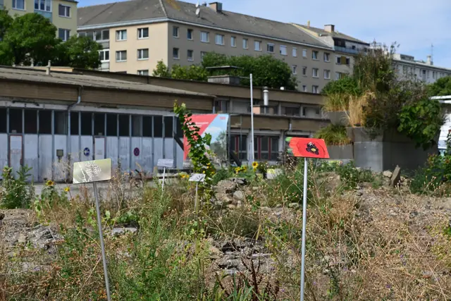 Eine Auswahl ihrer Portraits wurde in Form kleiner Tafeln an den Original-Standorten ihrer Aufnahme im Habitat aufgestellt. | Foto: Matthias Pandrea/MeinBezirk