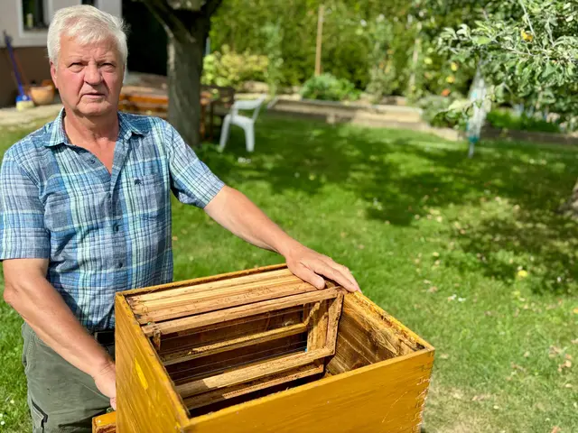 Sein persönliches Urteil über 2026 fällt daher nüchtern aus: „Ich würde das Jahr als mittelmäßig einstufen, obwohl man überall hört, dass es ein gutes Honigjahr ist.“ | Foto: Markus Kahrer