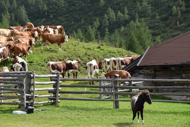 Foto: meinbezirk lungau/pongau