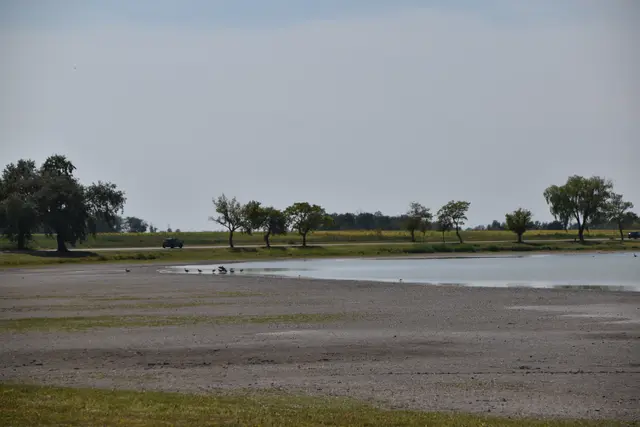 Bei Vollbefüllung hat der Zicksee eine Wasserfläche von 120 Hektar und eine Tiefe von bis zu 1,5 Meter. | Foto: Dorottya Fejes/MeinBezirk