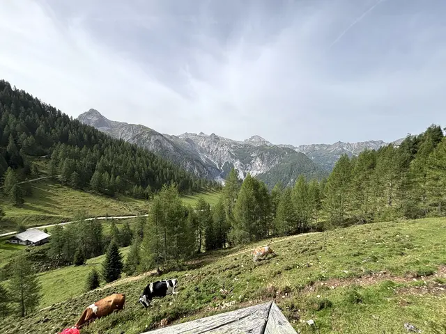 Foto: meinbezirk lungau/pongau