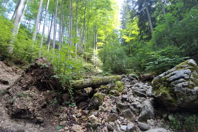 ...auf steinigem Weg, beginnt die Wanderung.