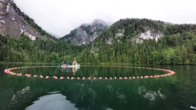 Ringwadenbefischung am Gleinkersee  | Foto: Michael Grohmann