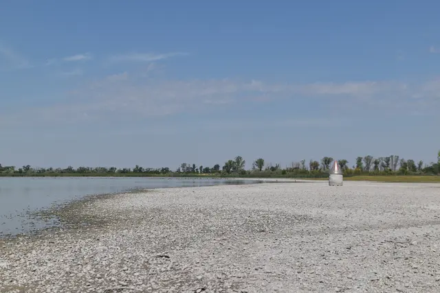 "Zumindest ist heuer ein Wasser drinnen", fasste ein Passant am Zicksee zusammen. | Foto: Dorottya Fejes/MeinBezirk