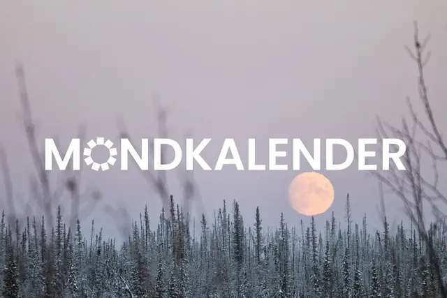 Den Mondkalender findest du immer am Monatsende auf MeinBezirk.at/Tirol oder in deiner Printausgabe | Foto: MeinBezirk Tirol