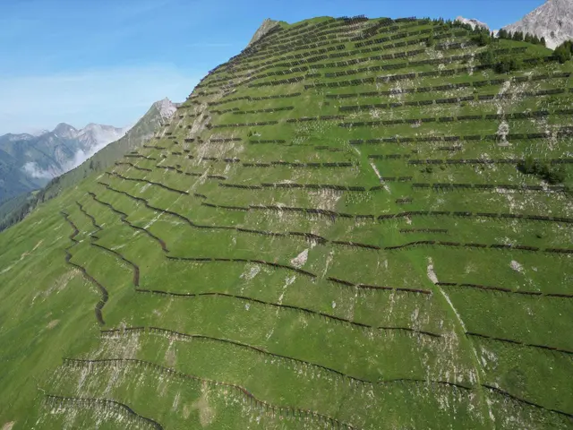 Die Lawinengalerie am Heuberg zählt flächenmäßig zu den größten im Alpenraum. | Foto: WLV