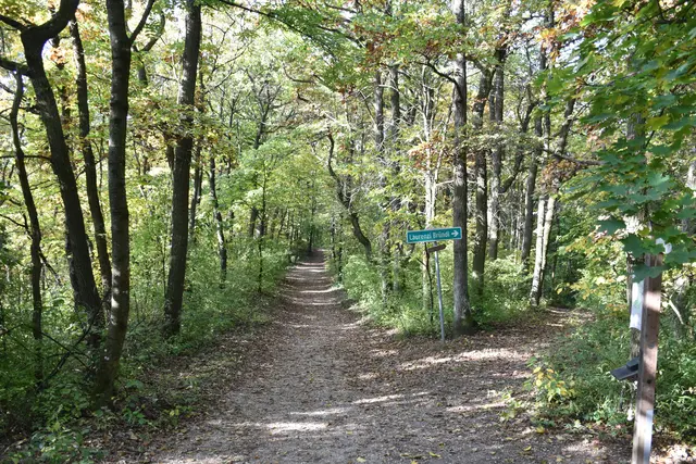 Ein 52-jähriger Firmenchef aus dem Bezirk Hollabrunn wurde von einem fallenden Baum eingeklemmt. | Foto: Goll