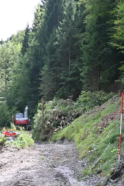 Foto: Königer