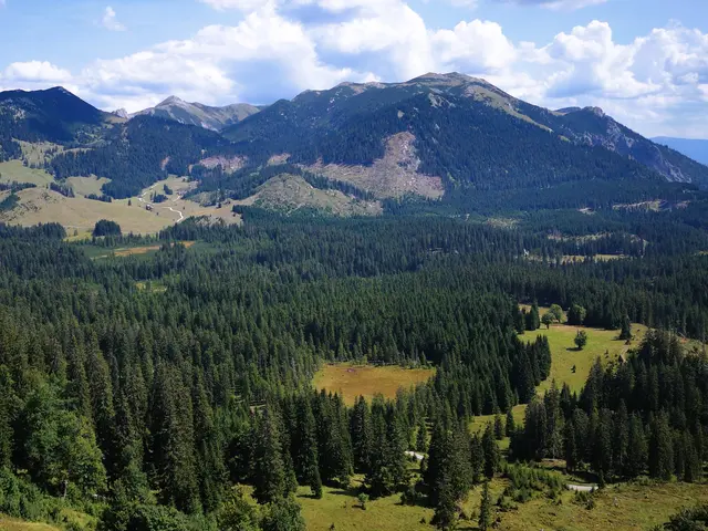 Foto: Naturpark Mürzer Oberland