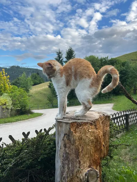 Foto: Privat
