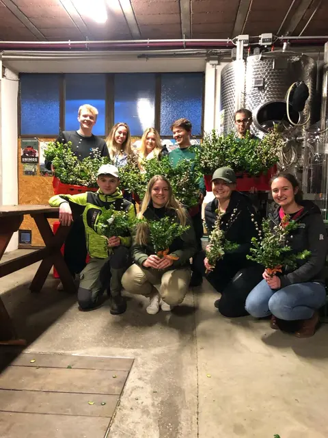 Palmbuschen binden am Palmsonntag 2025 - das Wiederaufleben einer Tradition. | Foto: Landjugend Klosterneuburg