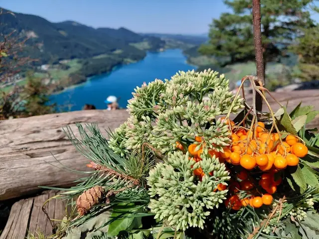 Die Früchte werden reif, die Farben wärmer und die Luft frischer – der Herbst schickt erste Boten. 