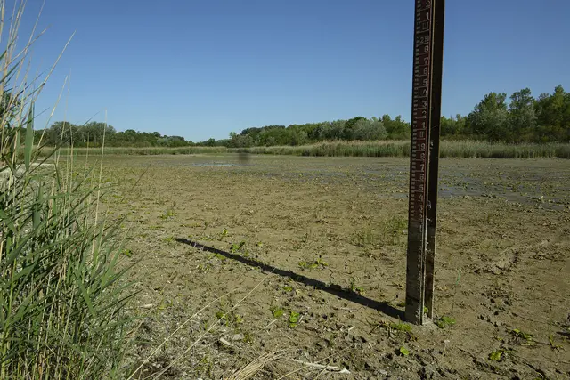 Trockene Flächen prägen derzeit weite Teile der Unteren Lobau. Umweltschützer fordern rasche Maßnahmen. | Foto: z.V.g.