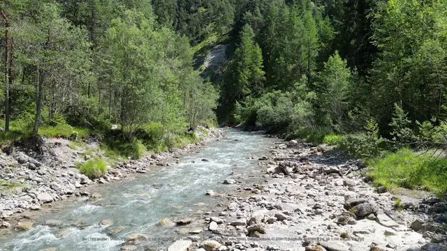 Foto: Bürgerinitiative Namlosbach
