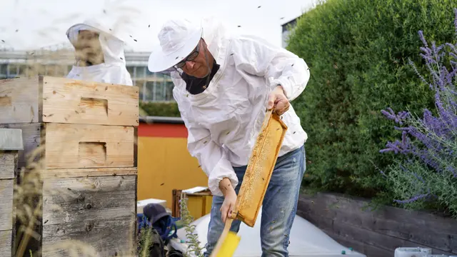 Bei den Müllverbrennungsanlagen Spittelau und Flötzersteig von Wien Energie herrscht das ganze Jahr über reges Treiben. | Foto: Wiener Bezirksimkerei