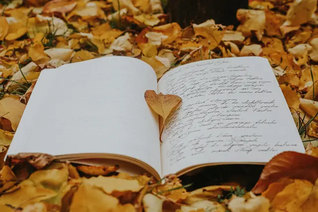 Foto: pexels / betül nur akyürek