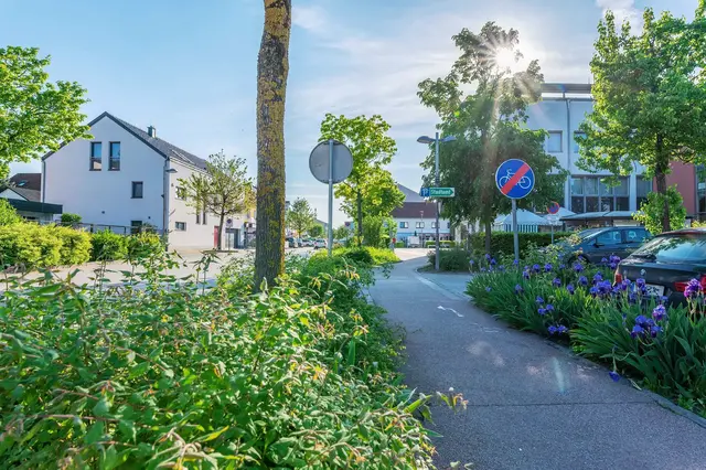 Marchtrenks Straßen sollen in Zukunft schon im Vorfeld "grün gedacht" werden. | Foto: Stadtgemeinde Marchtrenk