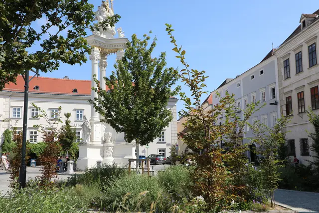 Der neugestaltete Dreifaltigkeitsplatz mit seinen zahlreichen Bäumen und Grünflächen ist ein Beispiel für eine klimafitte Stadtentwicklung. | Foto: Stadt Krems