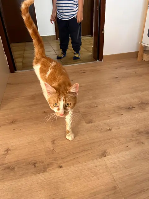 Foto: Privat