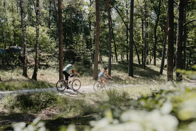 Naturpark Blockheide: Der Radtourismus ist ein wichtiger Motor für die regionale Wertschöpfung im Waldviertel. Insgesamt wurden über 500 Kilometer touristischer Radrouten überarbeitet. | Foto: Waldviertel Tourismus, Patrick Wasshuber
