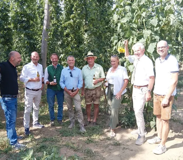 "Hopfen und Malz - Gott erhalt's": Die heurige Hopfenernte verspricht eine gute Qualität. | Foto: Kowald