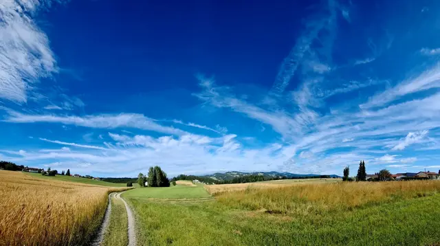 Foto: Christian Nimmervoll/wetter-muehlviertel.at