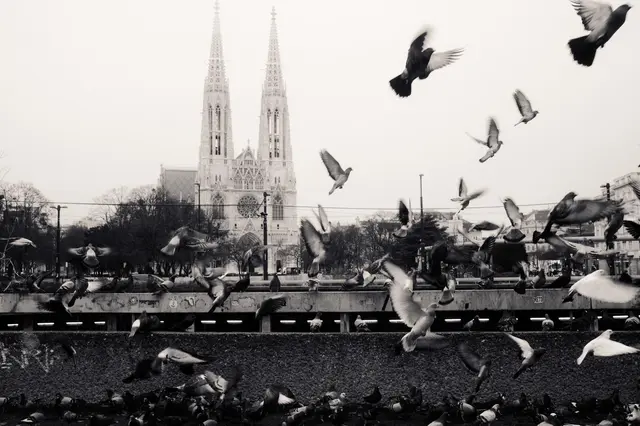 Foto: Reiseleiter Lukas Mari