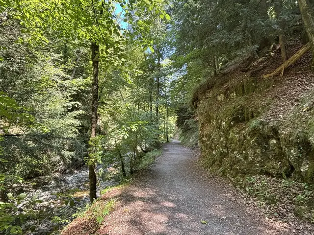 Die Sperre der Glasenbachklamm wird voraussichtlich bis Mitte November 2026 andauern. | Foto: Emanuel Hasenauer