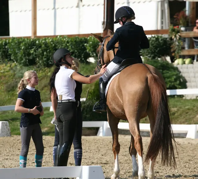Foto: Hartberger Reitverein "RC Dressage Group Styria" Obmann Günter Weghofer