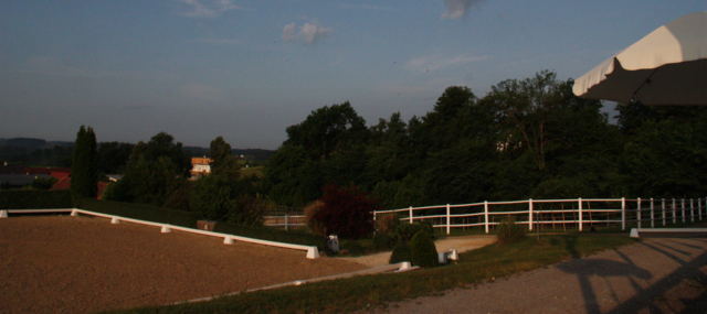Foto: Hartberger Reitverein "RC Dressage Group Styria" Obmann Günter Weghofer