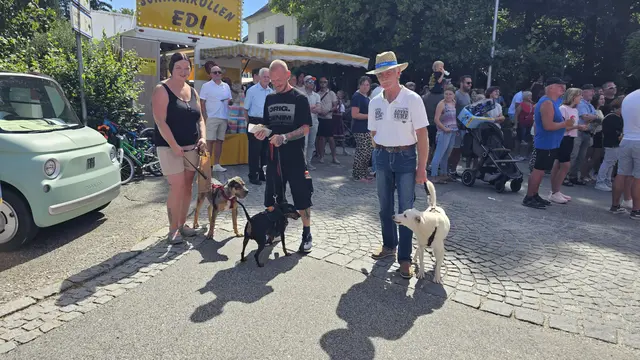 tierisches Vergnügen: die Hunde Marly, Sky und Ice mögen es gerne heiß | Foto: Elke Rott/zema-medien.de