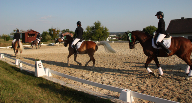 Foto: Hartberger Reitverein "RC Dressage Group Styria" Obmann Günter Weghofer