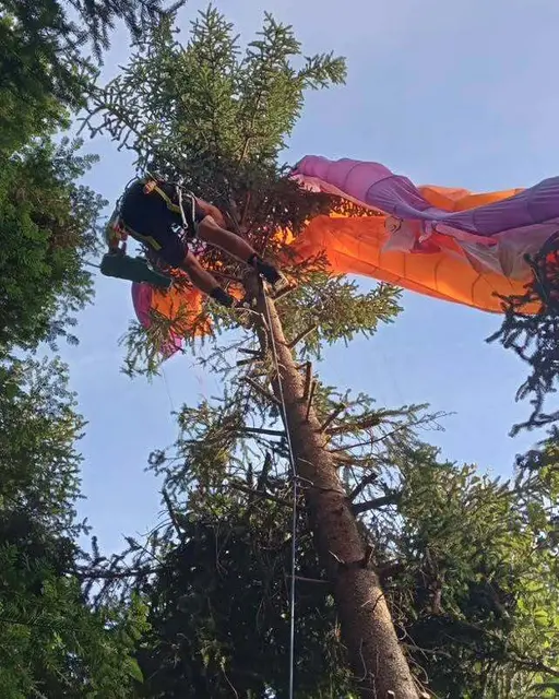 Ein Gleitschirmpilot kollidierte am Grünberg mit einem Baum. | Foto: Facebook/Bergrettung Gmunden