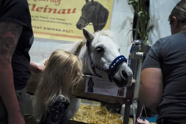Rassehundevorstellungen, elegante Edelkatzen, Dog Diving, Hütehunde, Agility, Flyball und sportliche Parcours sorgen für Spannung pur. | Foto: Veranstalter