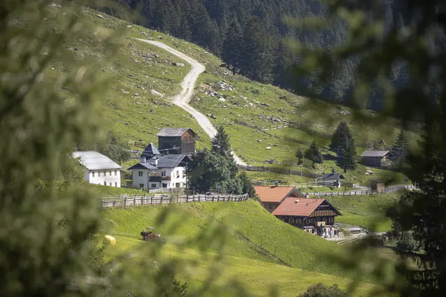 Wandern im Sellraintal soll durch das neue Wandertaxi noch einfacher werden.  | Foto: Innsbruck Tourismus/ Tom Bause