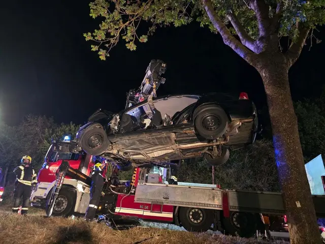 Fahrzeugbergung durch die Feuerwehr Zwettl | Foto: FF Zwettl