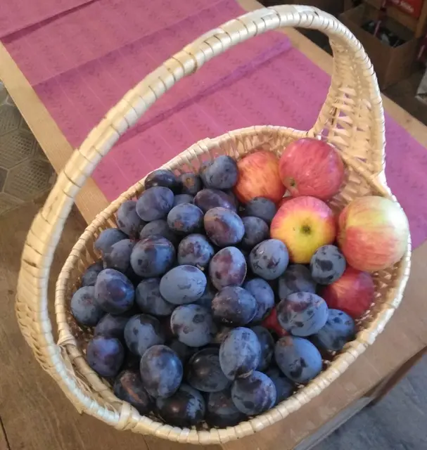 Am Bauernmarkt werden zahlreiche Produkte von Landwirten aus der Umgebung geboten. | Foto: Furthmühle Pram