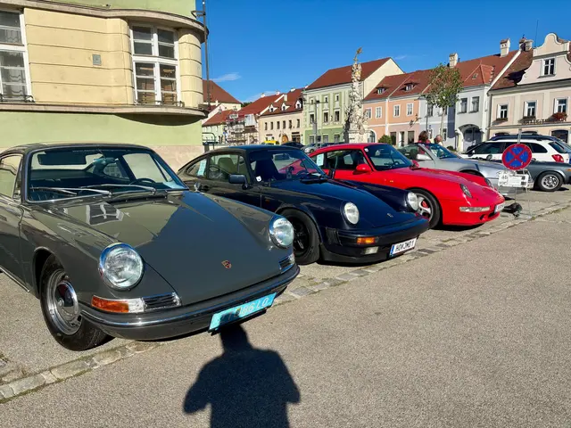 Insgesamt 80 Teilnehmer und 44 Fahrzeuge gingen in diesem Jahr an den Start. | Foto: Markus Kahrer