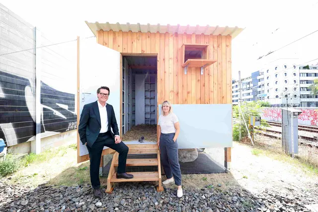 Der neue, mobile Taubenschlag wird ständig betreut und steht bei der U3-Station Ottakring.  | Foto: Votova