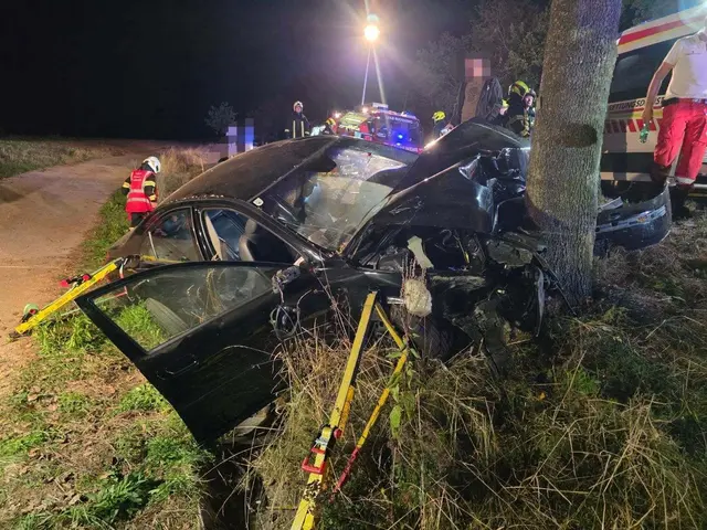 Die Insassen wurden teils schwer verletzt. | Foto: FF Zwettl