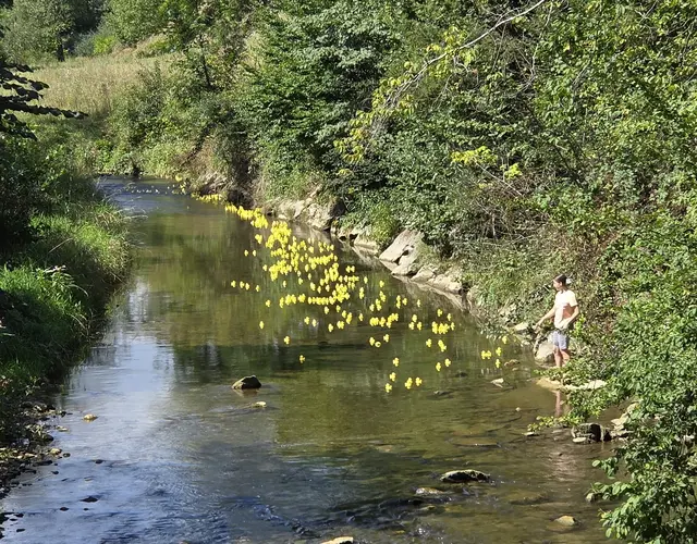 Beim Einstieg zur Kleinen Raabklamm feuerte man die Entchen an. | Foto: Gemeinde Gutenberg