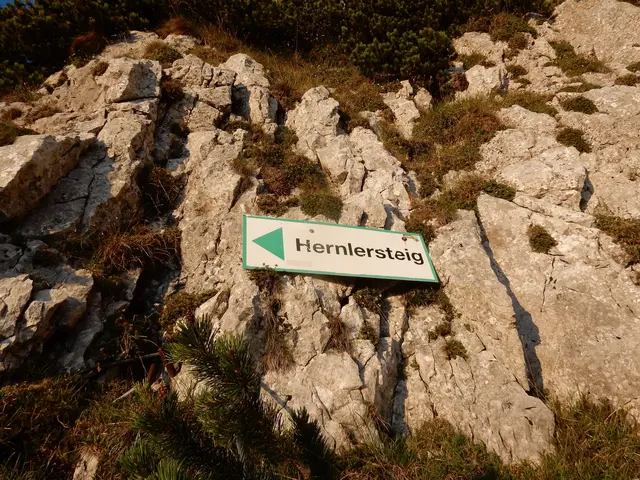 Auch auf dem Hernlersteig am Traunstein ist ein gefälsches Schild aufgetaucht. | Foto: Hermine Pichler