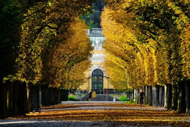 Am Dienstag sind mit dem Wind erste Vorboten des Herbstes bemerkbar. Es wird jedoch auch sehr sonnig und für Anfang September warm. | Foto: Robert Trakl