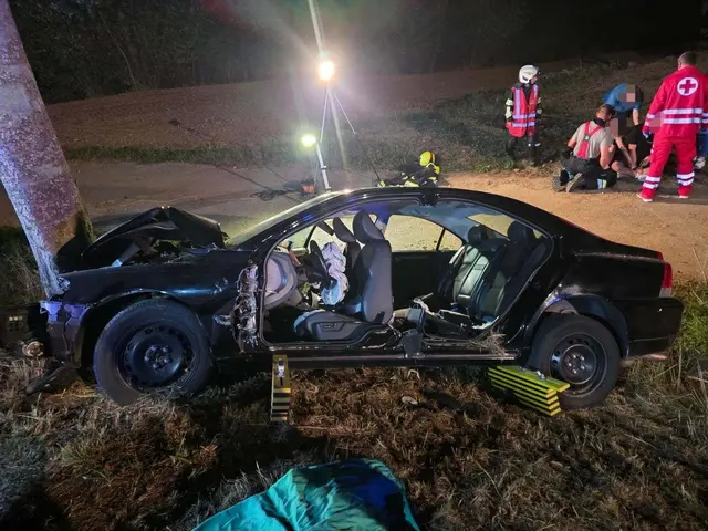 Rettungskräfte am Unfallort | Foto: FF Zwettl
