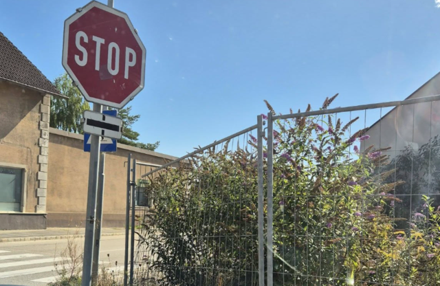 Strauchwuchs auf dem möglichen Gemeindezentrum-Grund sorgt in Sigmundsherberg für SPÖ-Kritik. | Foto: SPÖ Sigmundsherberg